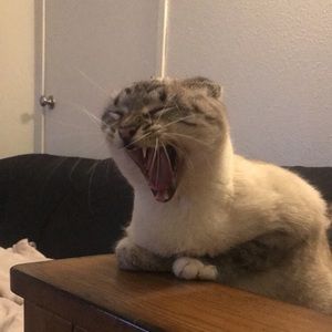 Meet your Posher, Stephen